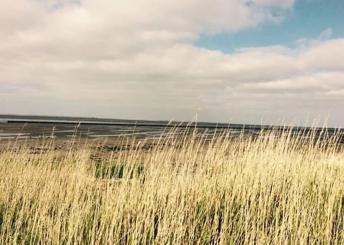 Διαμέρισμα Nr. 2 - Duene